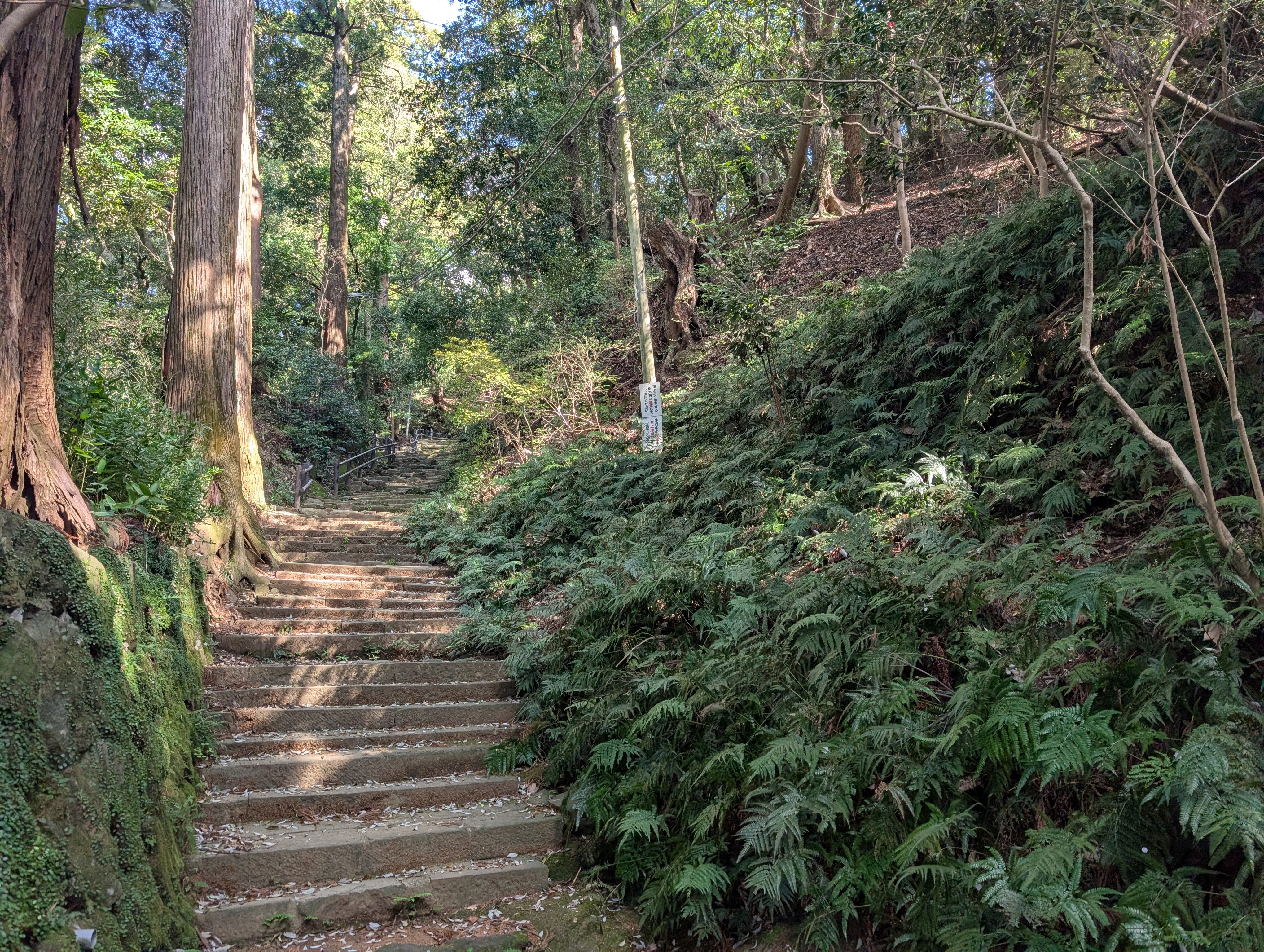 Pilgrimage photo 12
